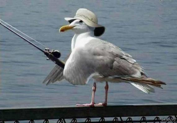 �������� � ������ ������