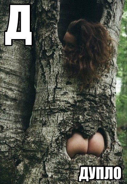 HOLLOW - NSFW, Hollow, Booty, Tree