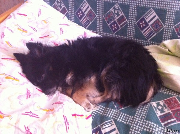 Опять спать на полу