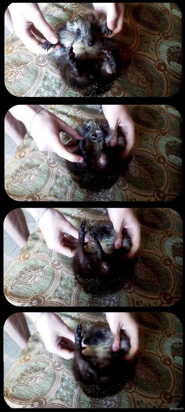 ломая стереотипы