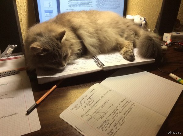 &quot;, .     .&quot;