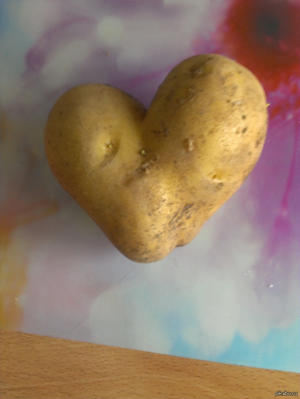 Картоха любви