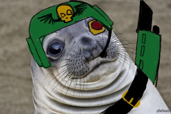 ��� ����, ����� �������� ����������� �����������