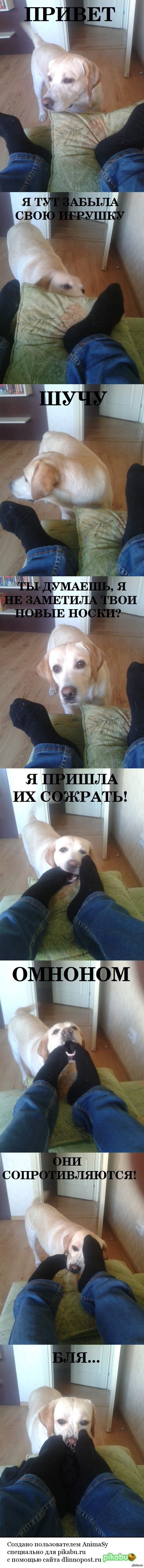 ����� �����