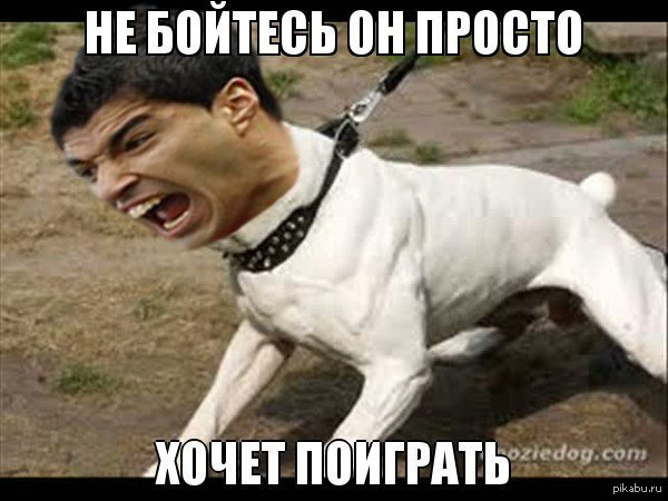 Луис суарес укусил кьеллини видео Луис суарес укусил кьеллини видео