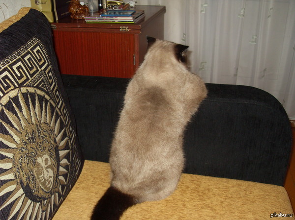 ��� ��� ��� �������� �������!