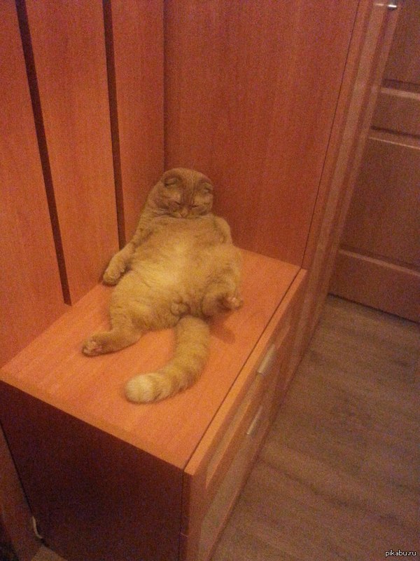 ����� ������ �����