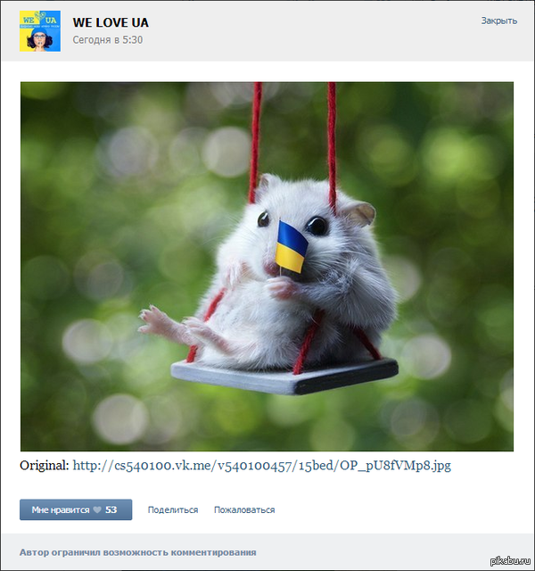 ��� �����, ��� ��� � ���� �� ������)