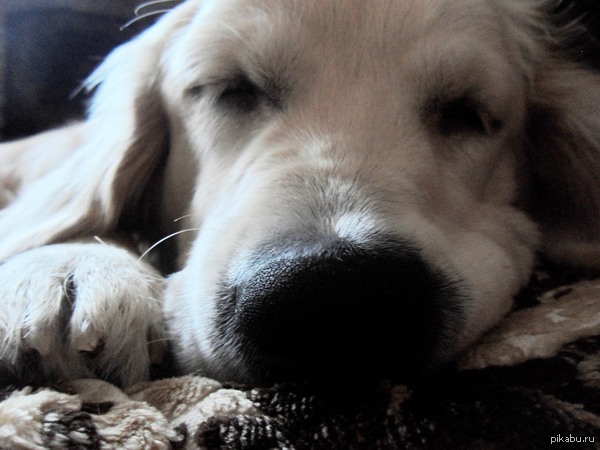 ��� ����� ������� ���������� :)