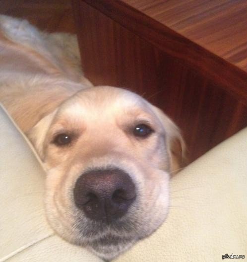 И так каждый раз, когда ем)