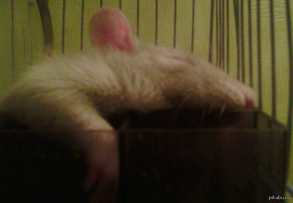 -  ? -  !   :D ,  =)