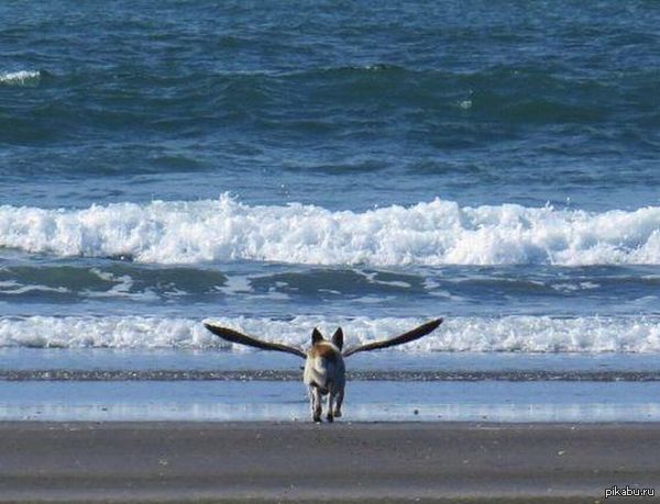 ������� ����