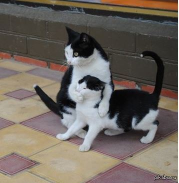 ����� �� ������, ��� ����...