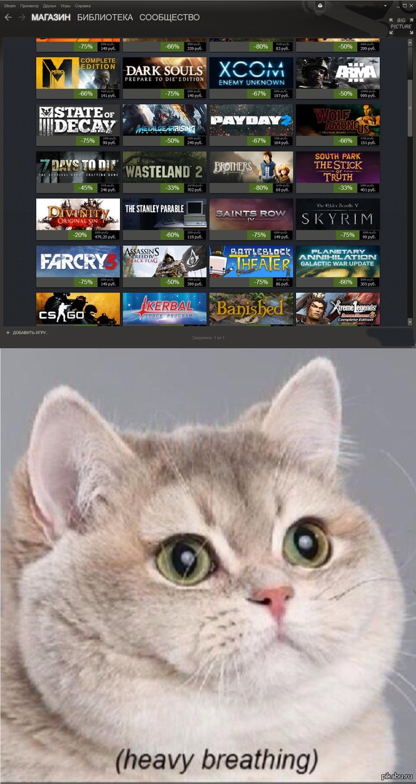  Steam-    .