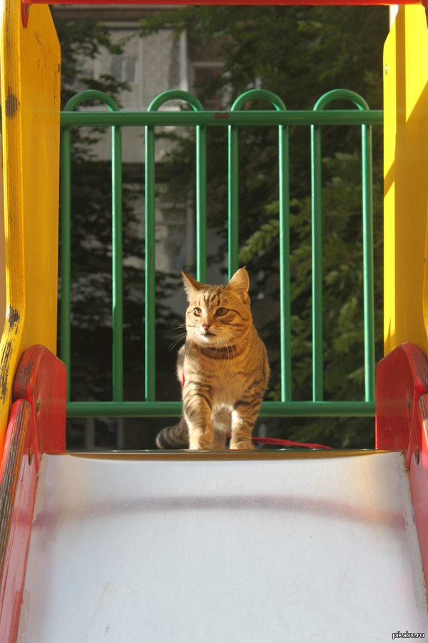 ��� ����.