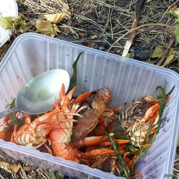 На Урале у нас поганая погода