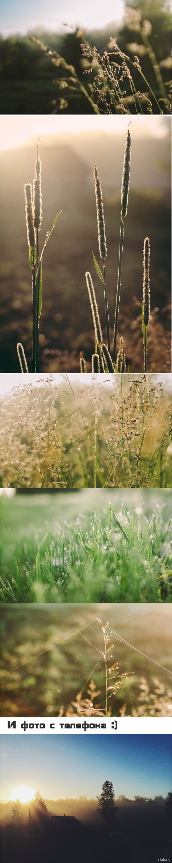 Раннее утро в деревне