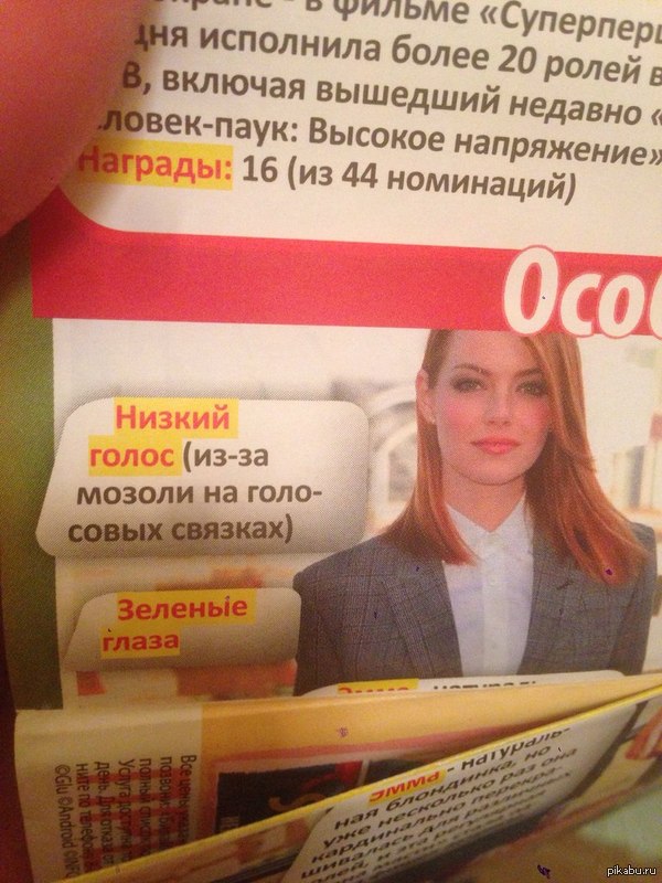 открываю журнал сестры...