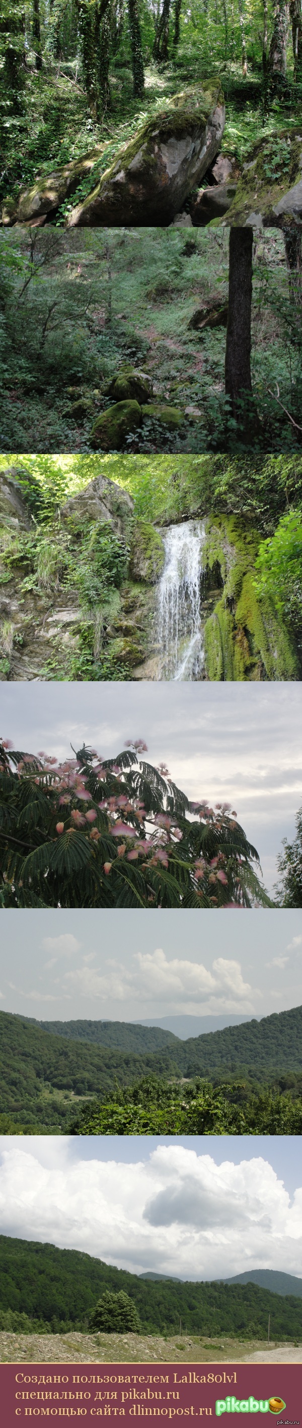 ������� �������