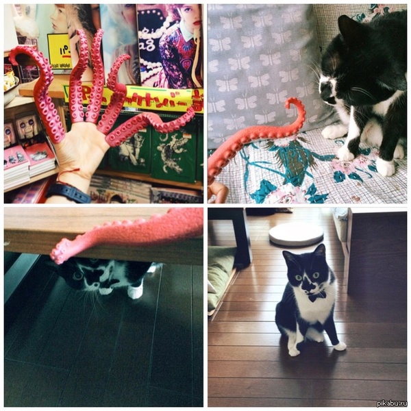 ������� �������� ���������� � ���������� �����, ������ ������� ������� � ����...��������� �����, "�� ����� ������"(�)