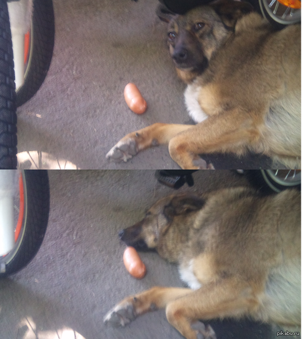 ϸ�-��������