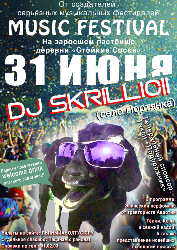Music Festival DJ SKRILLICII     .
