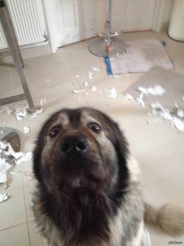 ��� �� �. �������� � ��� ������� �����, � ���������.