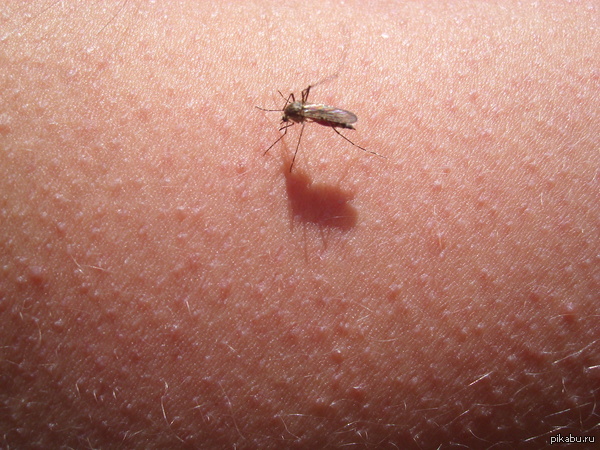 ��� �� ����������� ���� ������������� �� �������... �_�