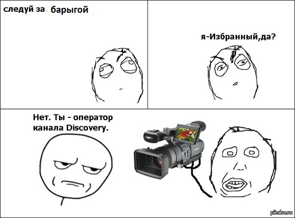 К постам | Пикабу