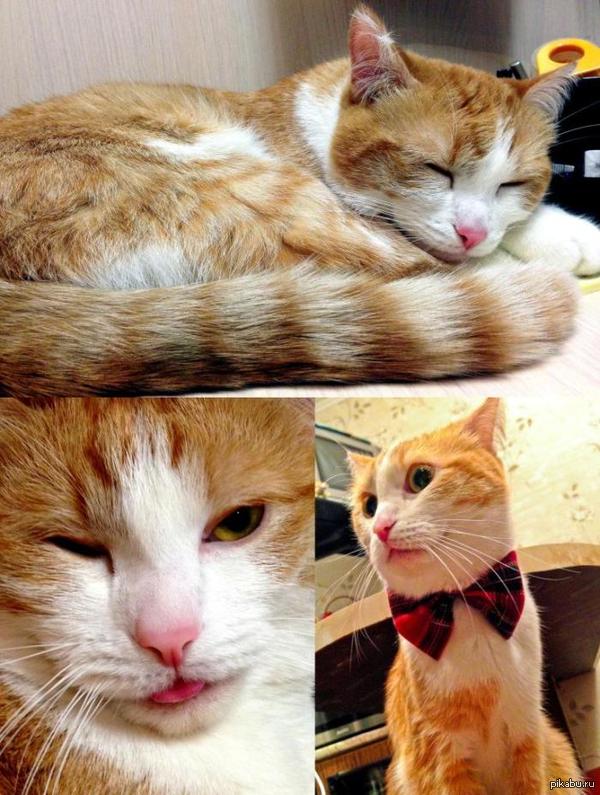 ������ ��� ���. ������ ���.