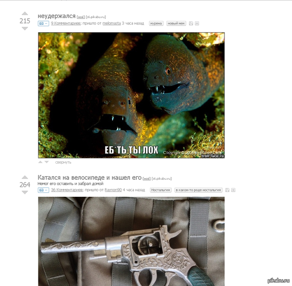 Школьники на пикабу (бомбануло)