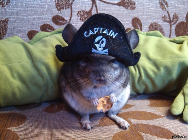 Dark souls 2 | Пикабу