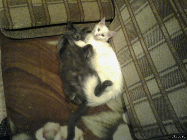 ������, ��������� ����� � ����� ������� ������ � ����������.