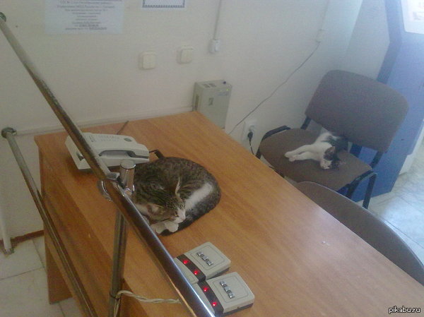 ������� ����� �� ������, � ���...