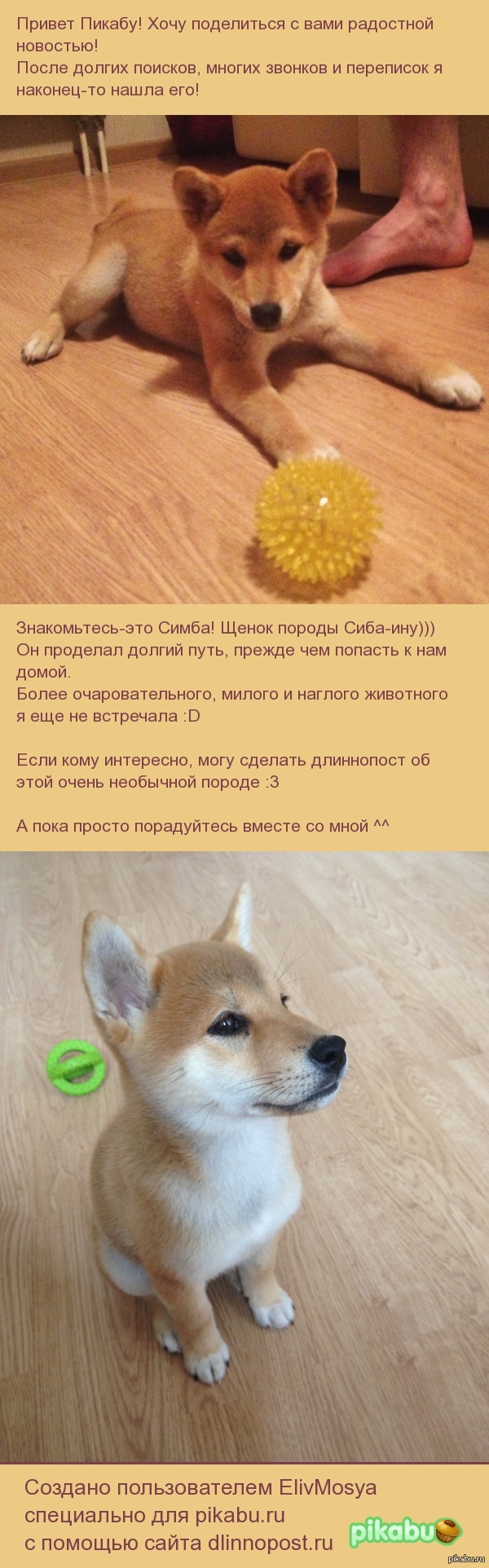 ����-���