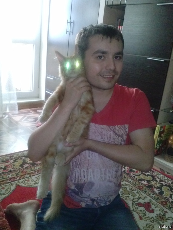 -))      .  ,  ,    ))