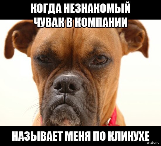 ���������, ��))
