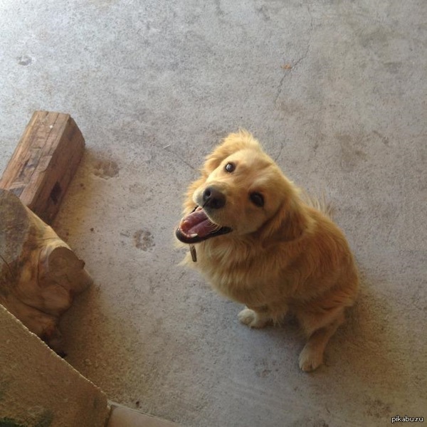 "��� ��� �� �"