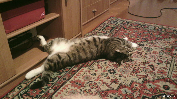 ������ ��������� �� ���� ��-������.