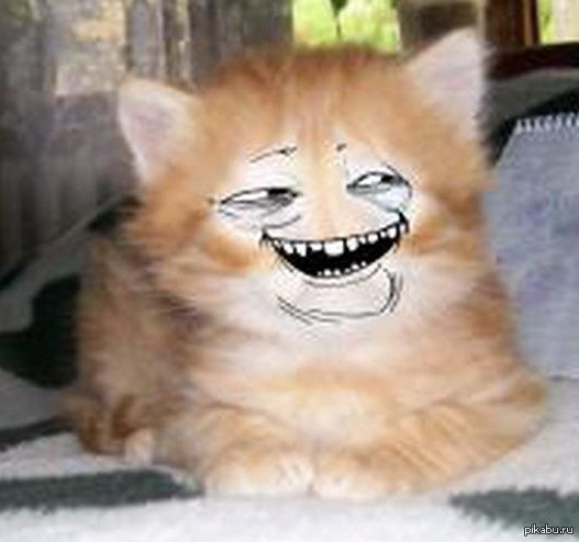 ��� ������ ���������?))