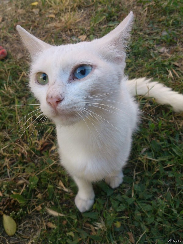 ��� ����� ��� ����� ������� ������� ������������