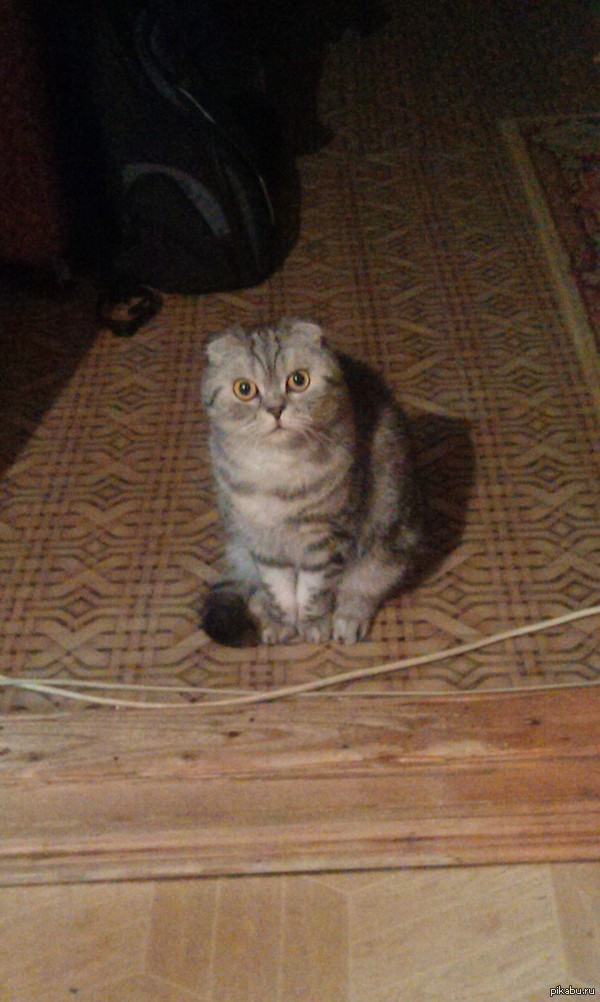 ����� � ����� � ��������