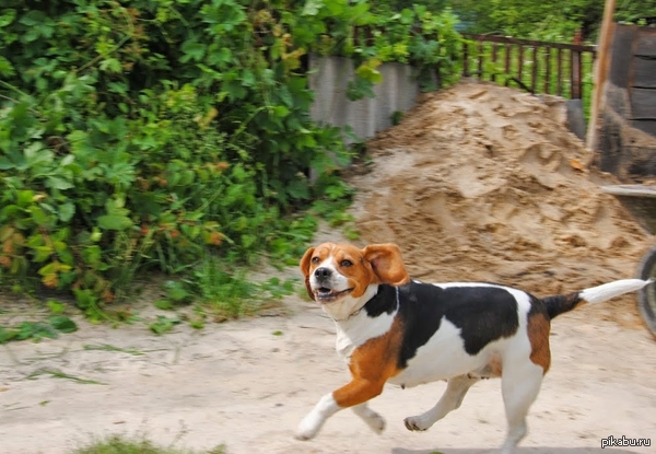 ���������� ���