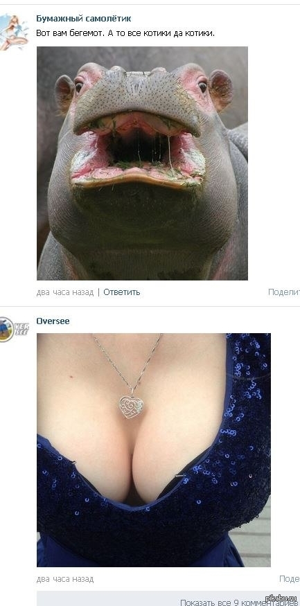 I was flipping through the news VK, when suddenly .. - NSFW, My, Boobs, hippopotamus, In contact with