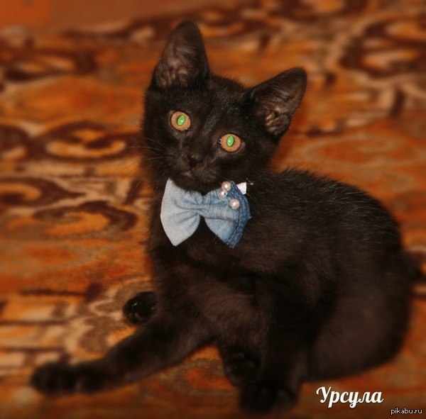 Пятничное мое)))