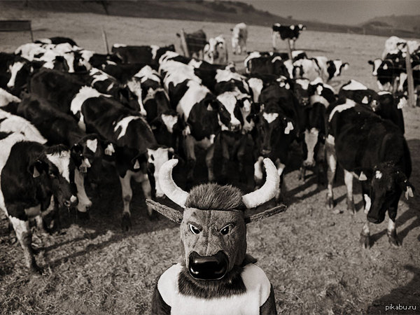 ������ ����� ����������