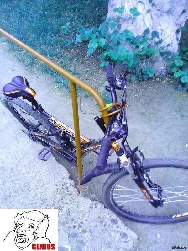 ����� ������ � "Ƹ���� ���"