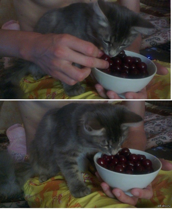 ����� �������))))))))))))