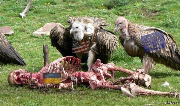 �������� ���� ������