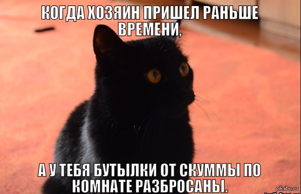 ��, ��� ����� � The Elder Scrolls ������.